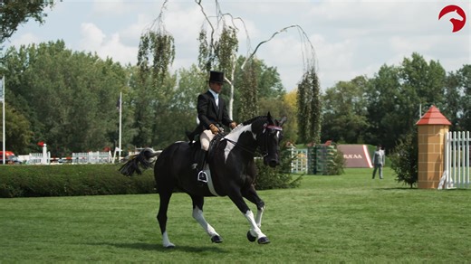 15K views · 140 reactions | We just can't get enough! Take a look back at our brilliant Riding Horse and Working Hunter Supremes, who made the International Arena sparkle this afternoon... Agria Equine Insurance Baileys Horse Feeds | The All England Jumping Course, Hickstead | Facebook