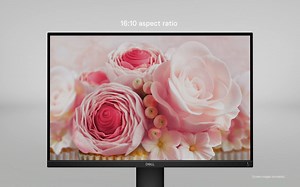 The Dell 24 Monitor P2421