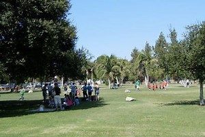 Family-Friendly Things to Do During Screen-Free Week