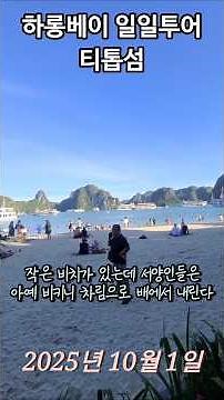 🇻🇳 베트남 하롱베이 일일투어 필수 코스! 티톱섬