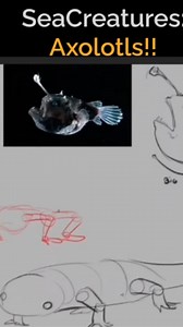 Quick Guide: Drawing Axolotls