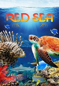 Watch Red Sea for Free Online | Pluto TV
