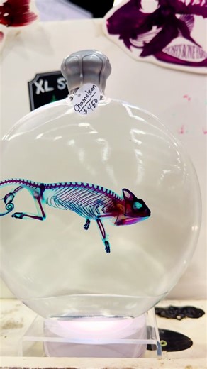 Exploring Unique Wet Specimens at Oddities & Curiosities