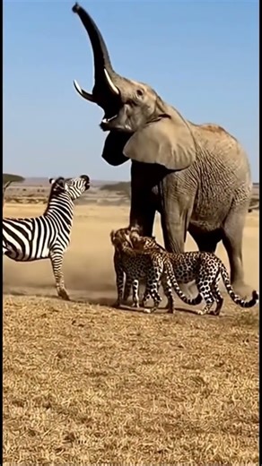 Wild Realm AI | Elephant Saves Zebra from Leopard Pack 🐘🦓🐆 Dramatic Rescue Moment