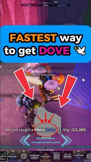 How to get Dove in Fisch FAST 🕊️ ⚡ Cupid Relic | No Duo Required!! #fisch