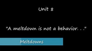 Unit 8 - Meltdowns