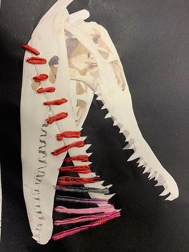 Stop Motion Animation Photograph Manipulation Alligator Skull