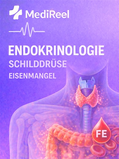 Eisenmangel und Schilddrüsenhormone: Ein verstecktes Problem