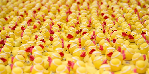 RVA Duck Race returns Sept. 6