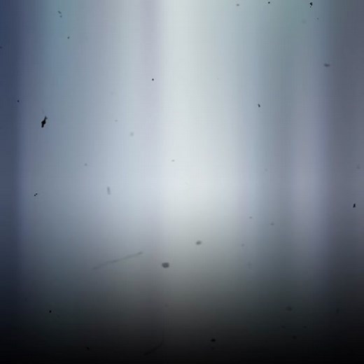 Shirou vs. Emiya - Who's Stronger? Fate Series Comparison