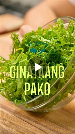 FEATR | Pako, also known as Fiddlehead fern, is a diverse Pinoy veggie that mixes well with so many flavors. 🌱 There are tons of recipes online on... | Instagram