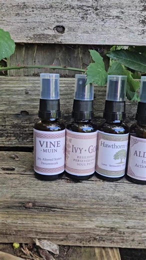 Pure and Simple New Age Store on TikTok