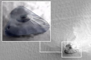 Is giant UFO crashed on surface of Mars victim of the curse of the Red Planet?