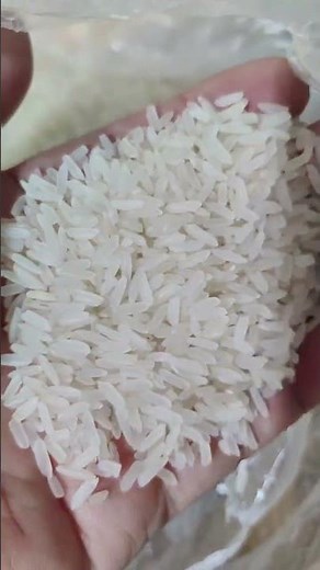 Automatic Nature rice making pop rice cakes machine #machine#food #popcorn#machinerychannel#factory