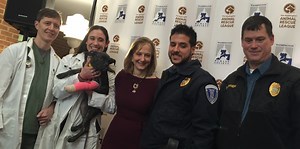 Two D.C. animal-rescue groups unite - WTOP News