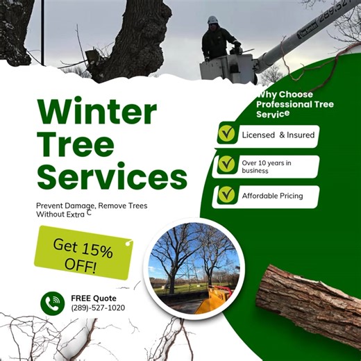 Most homeowners think tree work stops in the winter, but that couldn’t be further from the truth. With little to no leaves in the way, we can shape your tree with precision, finish faster and improve overall health heading into spring. Right now is also when we offer our priority scheduling and off-season pricing. Request your free owner-provided assessment and locked-in quote, Today. | Professional Tree Services