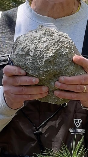 1.5M views · 23K reactions | Today I'm polishing a 12.5 pound Petoskey Stone. It's always a little hard to tell if one this rough will turn out or not, but you'll just have to watch the video to find out. I used the following polishing pad grits: 30, 50, 100, 200, 400, 800, 1500, 3000. | Michigan Rocks | Facebook