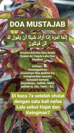 11K views · 105 reactions | Aaamiin 爐 | Media Asia | Facebook