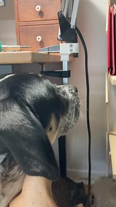 5.1K views · 99 reactions | A 3D printed improvement for my architect...