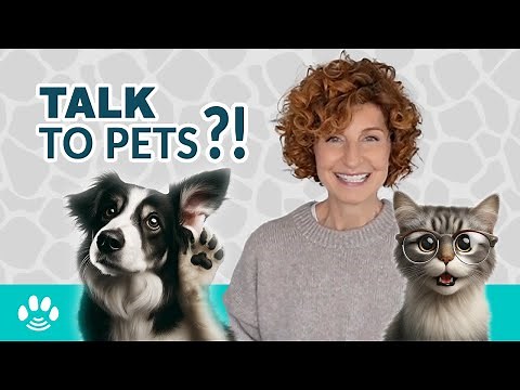 Can You Really Talk to Animals? Find Out How!