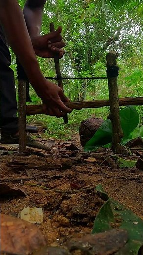 DIY Simple Trap: How to Make a Survival Trap in Minutes | Easy Wilderness Survival Skills 🦅