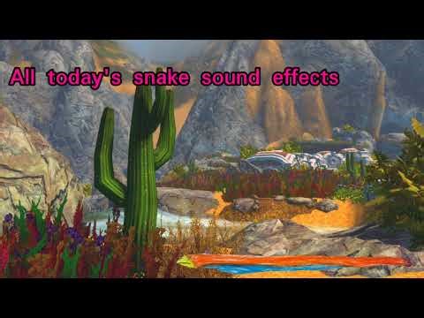 All Today's Snake Sound Effects 