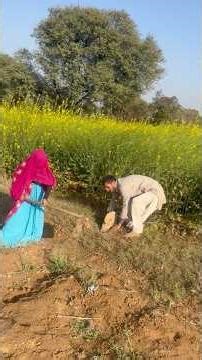 #ज़मीनी विवाद #newमारवाड़ीcomedy #funnycomedy #hilights #chettu_lambu_comedy