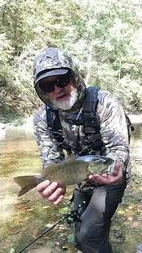 Are the CREEK smallmouth on the MOVE?