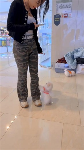 #Cut Puppy🐶, #Dog Lover Pet Happiness #Baby #Hugpet Beautifully #heartlove