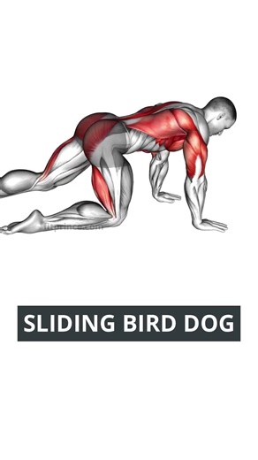 Easy Core Exercises for Men 40+ (Beginner Friendly)