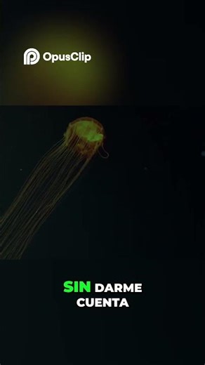 Plan de Acción Escapar del Peligro Rápido #shorts