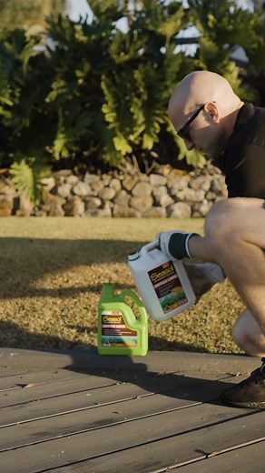 126 reactions · 22 comments | Feed and revitalise your lawn with Seasol for Buffalo Lawns: ✅ Looks after your lawn above and below the ground ✅ Improves soil health for a stronger thicker green lawn ✅ Just add 800mL of concentrate into an empty 2 Litre Hose on Pack and top up with 1.2 Litres of water when refilling the hose on container. Turf N Surf | Seasol | Facebook