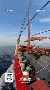 The JUNK - Come and JOIN the ADVENTURES 😍 | The Junk Liveaboards