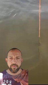 597K views · 6.6K reactions | Se poate pescui somn asa mare la noi pe Dunare? #catfishing #catfish #foryoupageシforyou #fypシ゚viralシ #fishing | Razvan Nita | Facebook