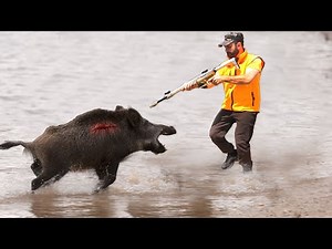 America's master hunters and magnificent hunting scenes. Fighting invasive wild boars