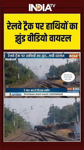 #viralshorts : रेलवे ट्रैक पर हाथियों का झुंड वीडियो वायरल #breakingnews #elephant #shorts #viral