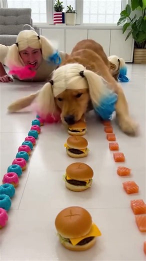 New Cosplay Eating Challenge… Guess Who We Are 😳🎭🏁 #eatingchallenge #dog #cat #cosplay #shorts