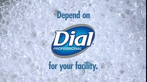 Dial Complete Kitchen Foaming Hand Soap