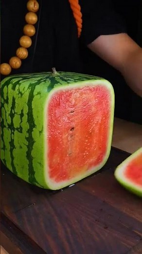 sandia cuadrada