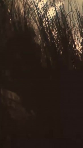 ‏#ياحسين #ياعباس #ياعلي