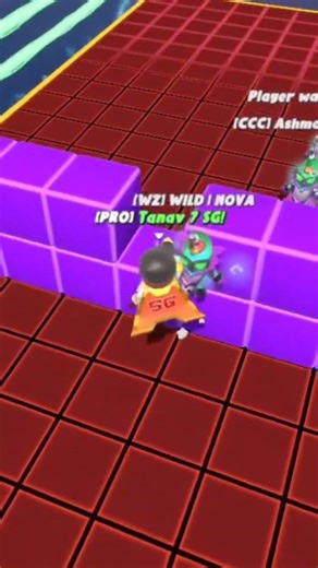 just erase your memory #tanavgamerz #stumbleguys #shorts