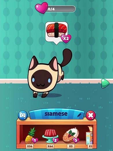 Siamese - Cat Game: The Cats Collector ~ #shorts