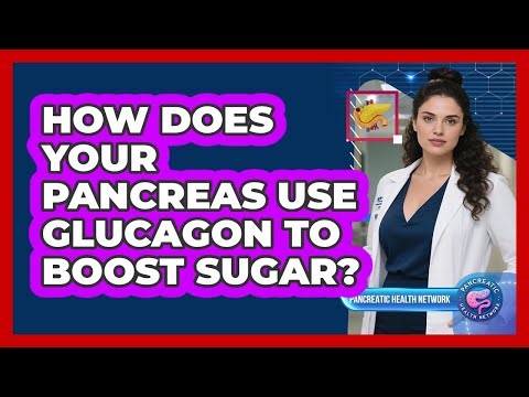 How Does Your Pancreas Use Glucagon to Boost Sugar?