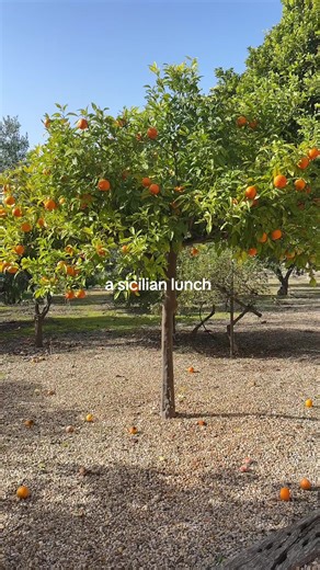 Sicilian Lunch Recipes: Taste Authentic Cuisine