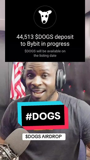 Everything You Need to Know About Dog Airdrops