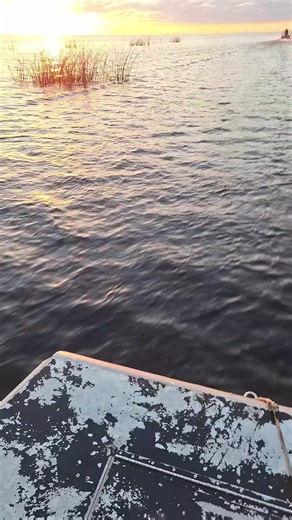 Jamey Glisson (@jameyglisson)’s videos with original sound - Country Lunatic