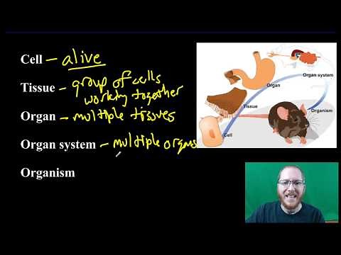 Organization of Living Things