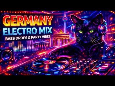 BREMENBASS ➡️ Schwraze Kater 💣 TOP 1 DEUTSCHER BANGER HiT 2026