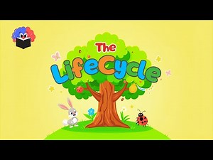 The Life Cycle Explained! 🌱🐸🦋 | From Birth to Growth and Beyond