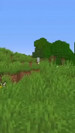 Exploring Minecraft: Bees, Spiders, and Unique Items